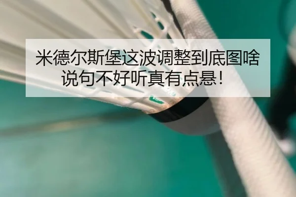 米德尔斯堡这波调整到底图啥 说句不好听真有点悬！