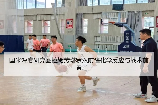 国米深度研究图拉姆劳塔罗双前锋化学反应与战术前景
